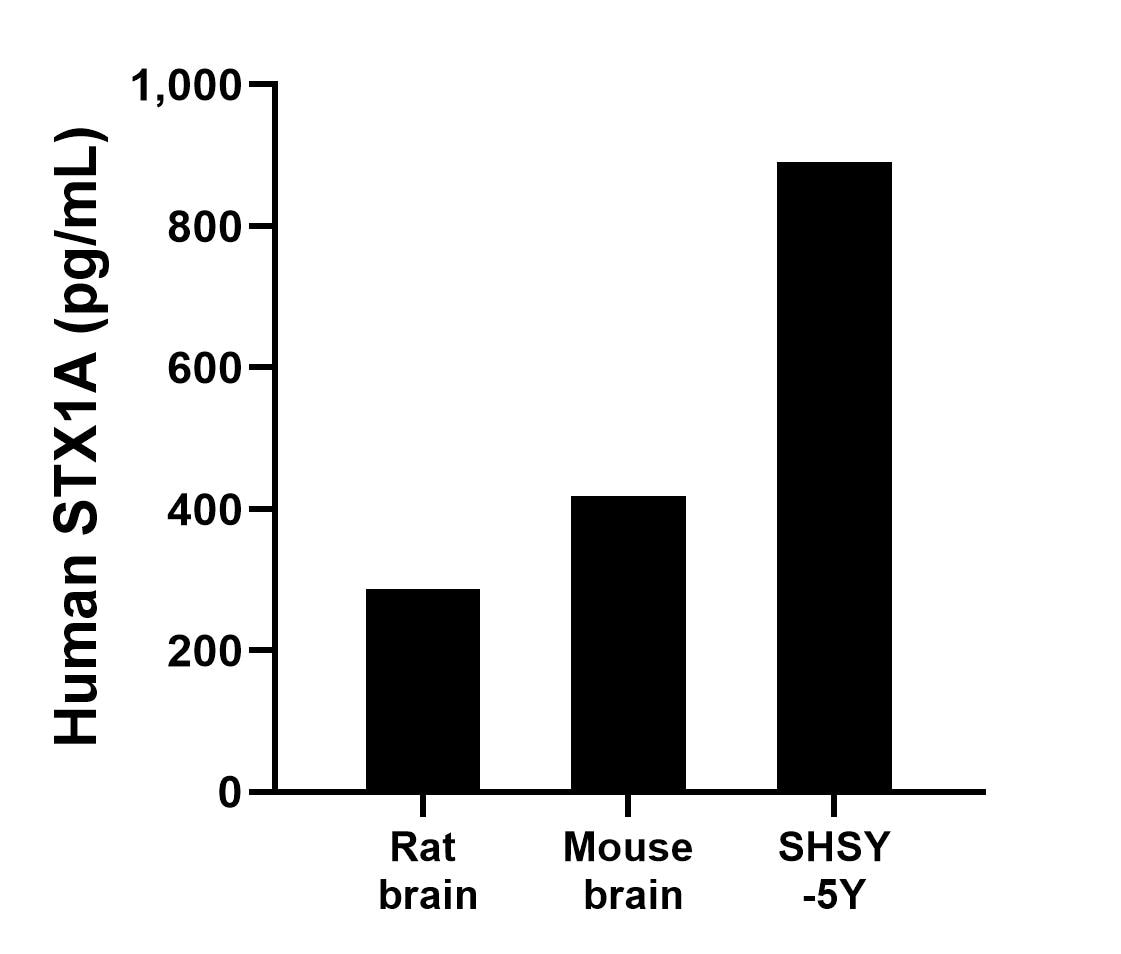 Sample test of MP00172-4